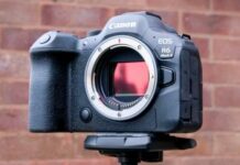 Canon EOS R6 Mark III и EOS R7 Mark II ожидаются уже в 2025 году