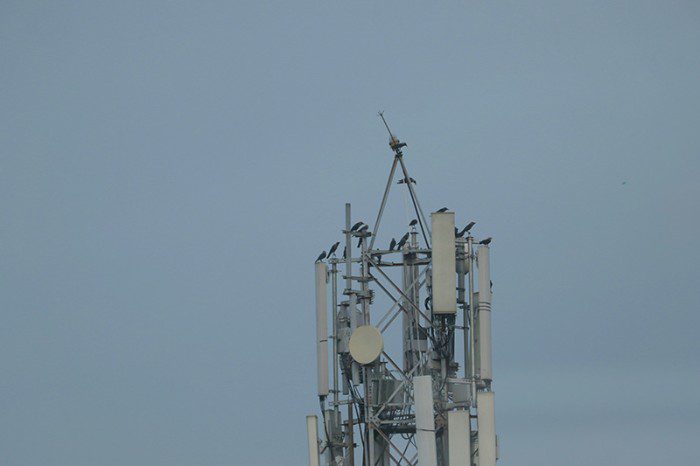 Глава Минцифры рассказал, когда россиян начнут подключать к 5G — к тому времени в мире появится 6G 1 7451a7dbcaa33750786c289d7efbd122