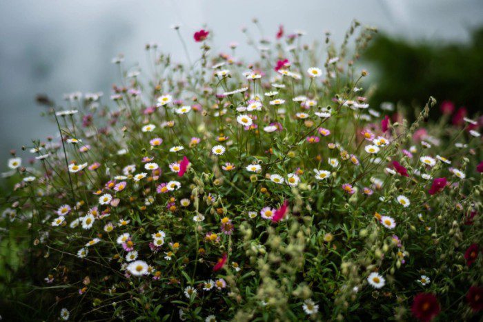 52c0ad02d2a5b0650aae1b60dee68643