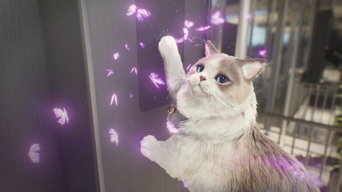 c9c19814b8fd6e2bd3565b3bfca1293d