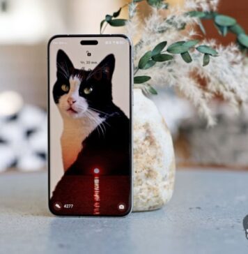 22be9a229cbe9fcb877254e29a39098c