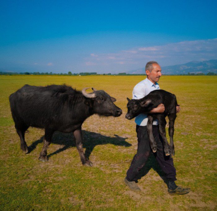 6af1b5f03fe0a38f345bf0b695659d7c