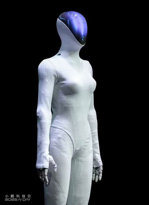 e036d953123d5894de12829b2112dd0f