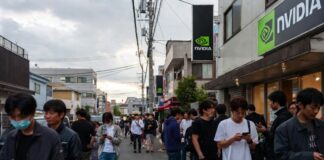 По одной в руки. В Японии начали ограничивать продажу видеокарт с 16 ГБ памяти