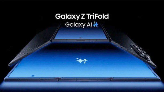 50a1f6b4053a9b99602df647e927f8cc