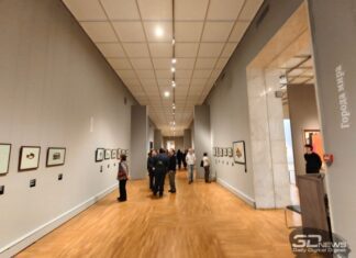 8b6f267f3242b0733b165cde7ed72baa