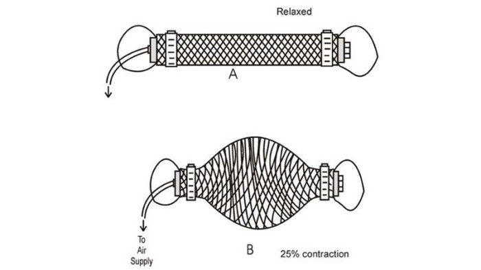 02695755a01b8cdb977e413a2eeb5f80