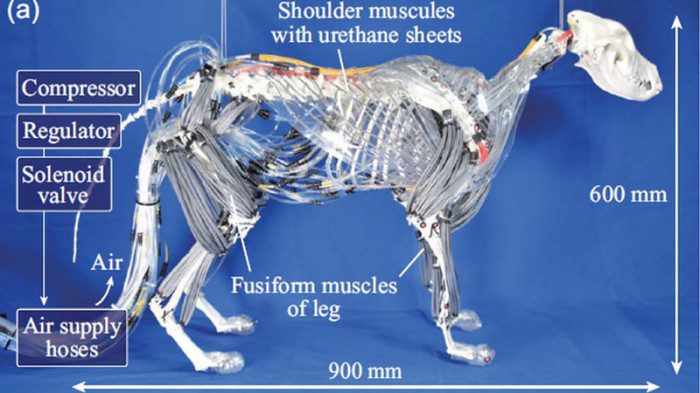 1102317670e60c44468944b9c8bb67a2