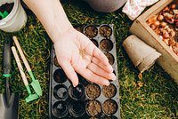 5b1e88609a8a3d8be2f48efe35cbe744