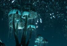 «Такой она в детстве и казалась»: художник поразил игроков воссозданием пещеры Чёрный предел из Skyrim на Unreal Engine 5