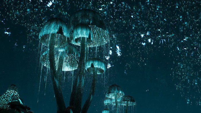 c19b639b6e4c5c8c03bb7c5ca8f8776e