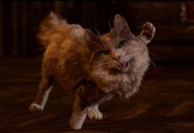 Блогер показал, как пройти Baldur’s Gate 3, играя за кота