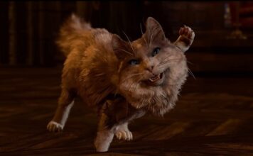 Блогер показал, как пройти Baldur’s Gate 3, играя за кота