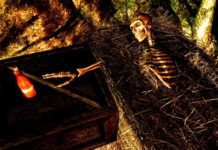 «Нас переполняют те же радость, волнение и ощущение приключения»: Bethesda вспомнила о The Elder Scrolls VI в день 30-летия серии