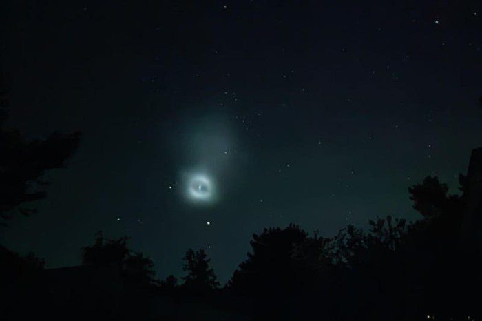 a7d1d97e301d9a54555e292426c346fa