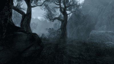 Моддер потратил сотни часов на восстановление вырезанного контента Skyrim — локаций, диалогов, NPC и предметов 19 fdb717f3d072d43dc1d96516b0b6442c