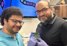 Процессоры с частотой 5 ГГц — это уже прошлое. Учёные создали самый быстрый в мире петагерцевый транзистор