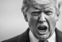 Непостоянный Дональд Трамп теперь нахваливает главу Intel, которого призывал срочно уйти в отставку