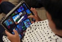 В Минцифры прокомментировали разблокировку Roblox