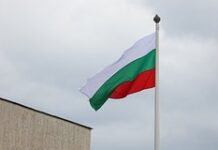 Российский посол заявила о готовности Болгарии выполнять все требования НАТО