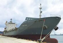 Судно «Янина» затонуло в Черном море из-за атаки дронов ВСУ