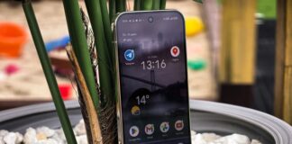 Rebel Wolves услышала фанатов — The Blood of Dawnwalker получит режим «Новая игра +»