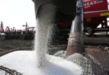 Спрогнозировано изменение отношений России и Бразилии после выборов
