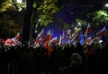 Еще один польский посол ушел в отставку на фоне госпереворота